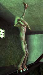 Photograph of Partyfiend4
