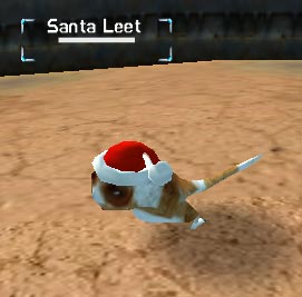 Photograph of Santa Leet